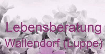 Lebensberatung Wallendorf (Luppe) | Top-Experten für Kartenlegen, Wahrsagen, Hellsehen, Zukunftsdeutung.